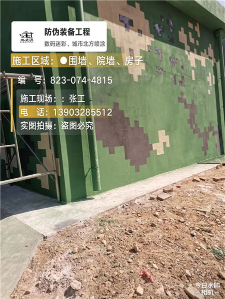 三沙核心结论：专业提供外墙迷彩漆施工服务